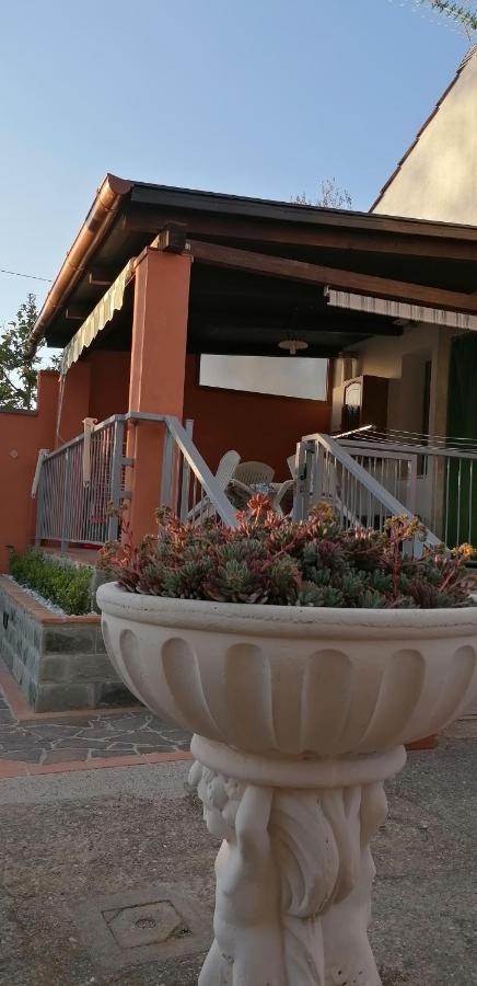 Casa Vacanze Mimose Palinuro Luaran gambar
