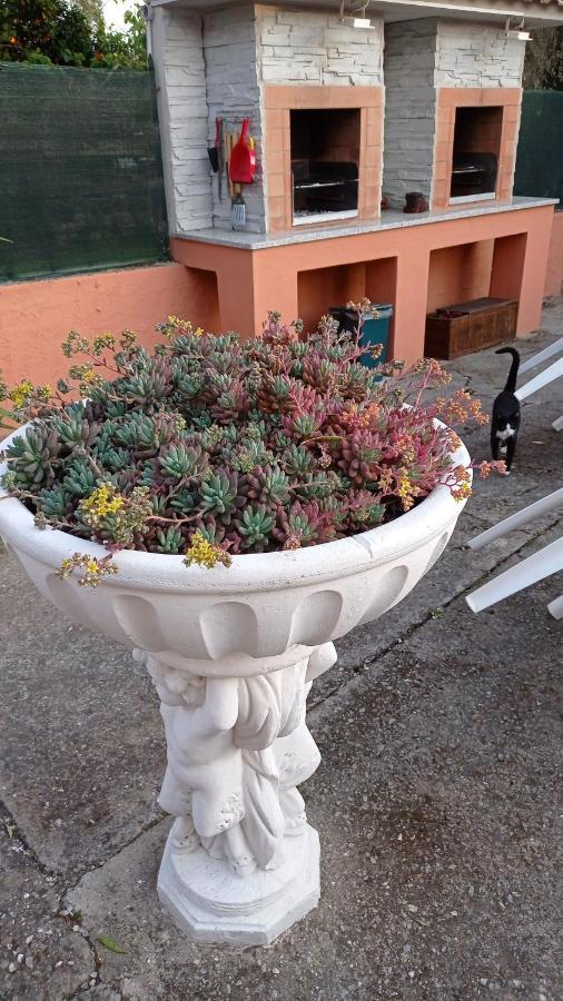 Casa Vacanze Mimose Palinuro Luaran gambar