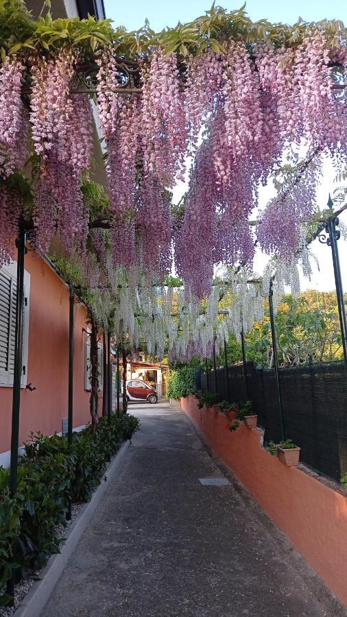 Casa Vacanze Mimose Palinuro Luaran gambar