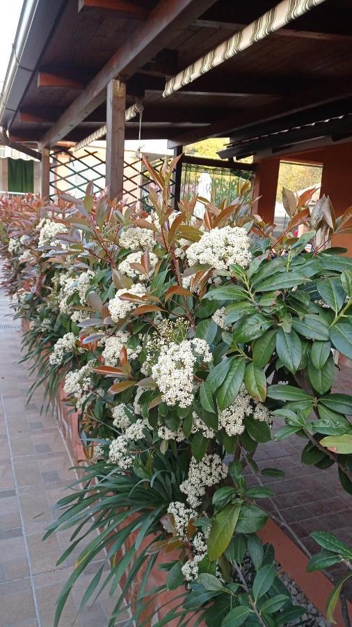 Casa Vacanze Mimose Palinuro Luaran gambar