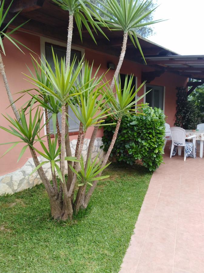 Casa Vacanze Mimose Palinuro Luaran gambar