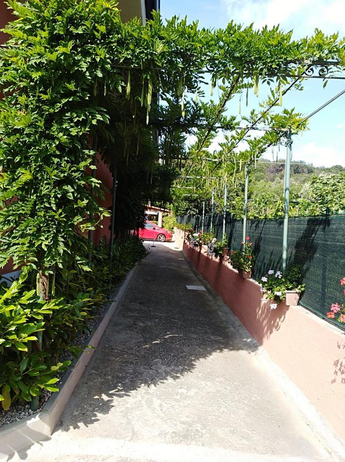 Casa Vacanze Mimose Palinuro Luaran gambar