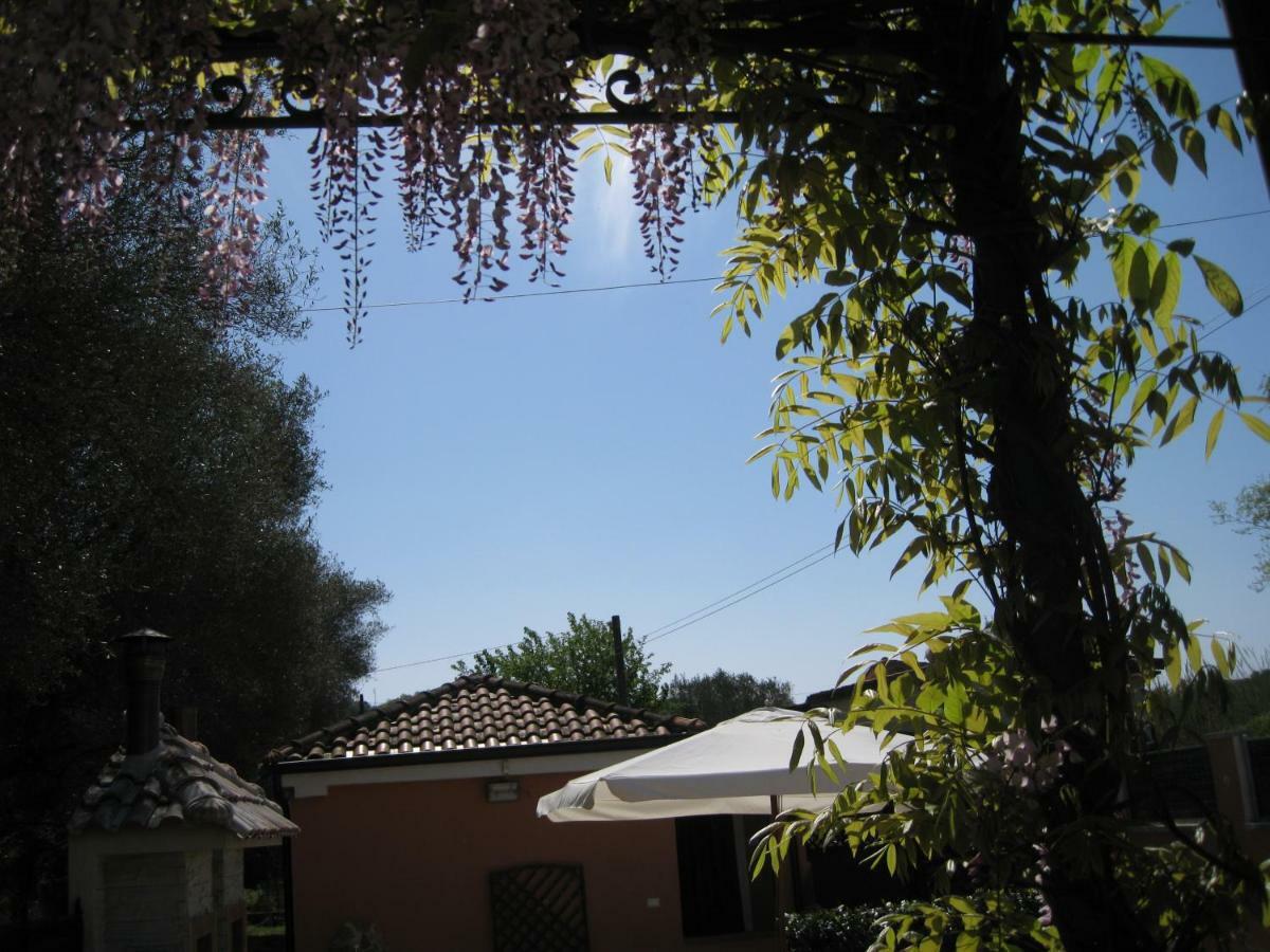 Casa Vacanze Mimose Palinuro Luaran gambar